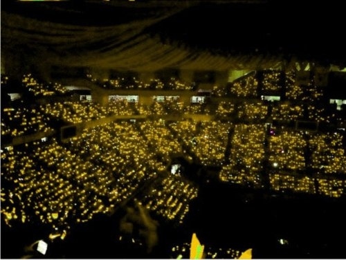 boa yellow ocean