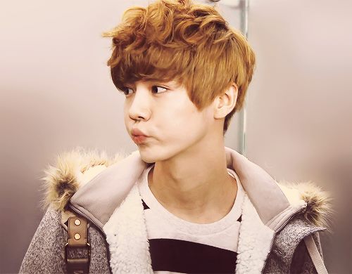 luhan / لوهان