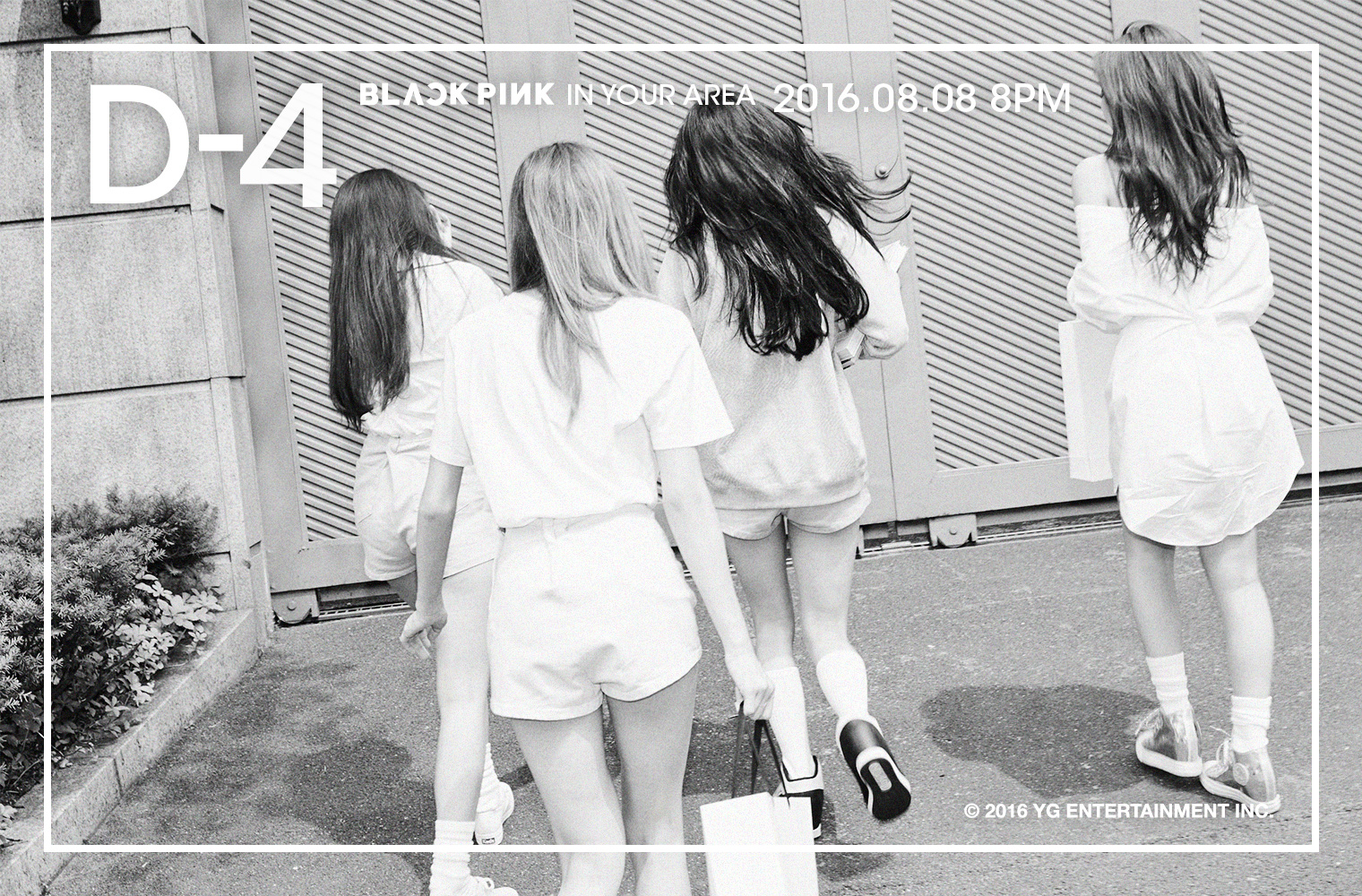 blackpink7